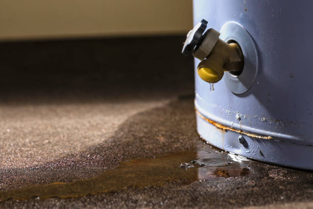 Best Professional water damage repair  in Somerville, TX