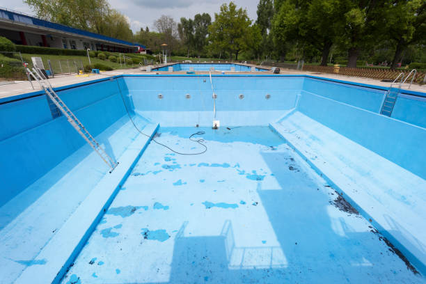Best Basement water damage restoration  in Somerville, TX