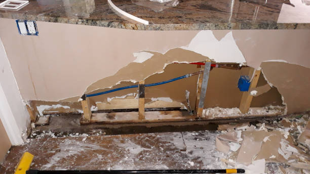 Best Water damage restoration near me  in Somerville, TX