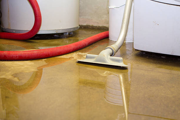Best Water damage restoration insurance claims  in Somerville, TX