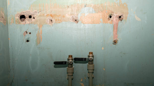 Best Water damage restoration specialists  in Somerville, TX