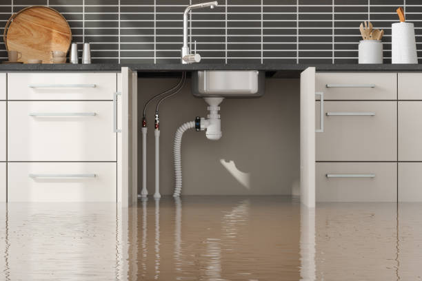 Best Flood restoration services  in Somerville, TX