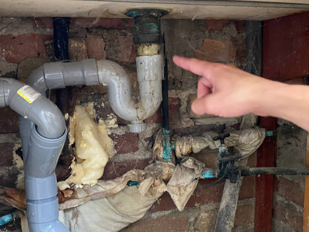 Best Fire Damage Restoration  in Somerville, TX