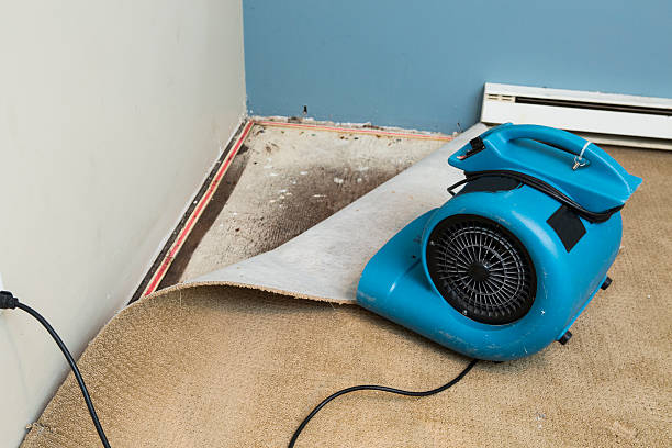 Best Local water damage restoration  in Somerville, TX